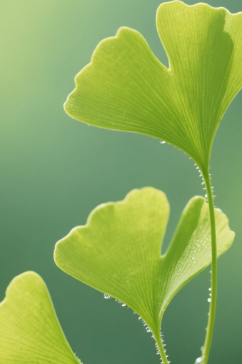 康雅產(chǎn)品中心